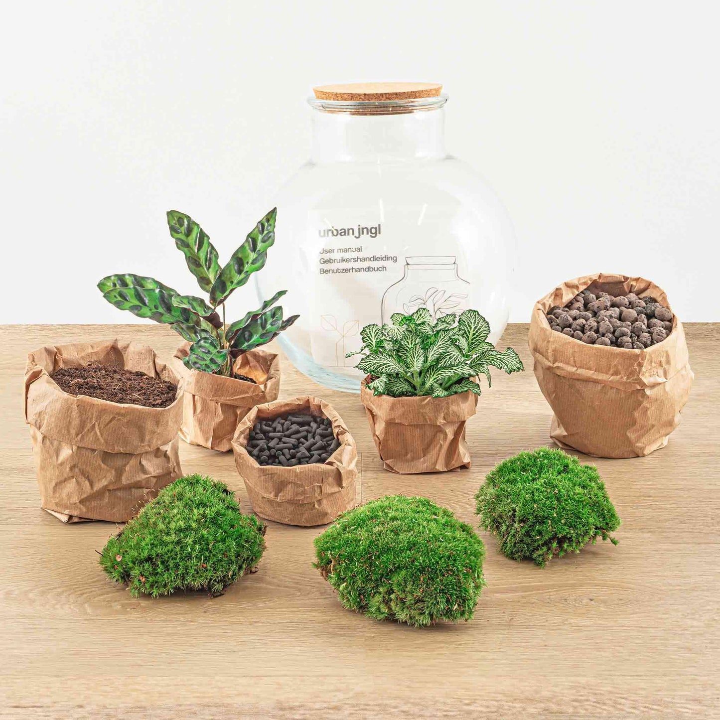 DIY terrarium - Teddy - ↕ 26,5 cm