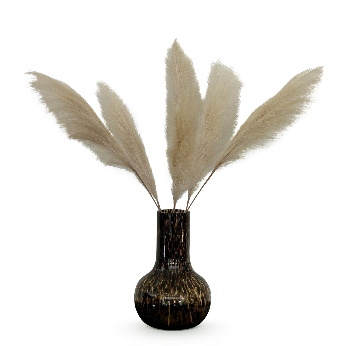 Kunstbloemen Pampas Plumes (Crème)