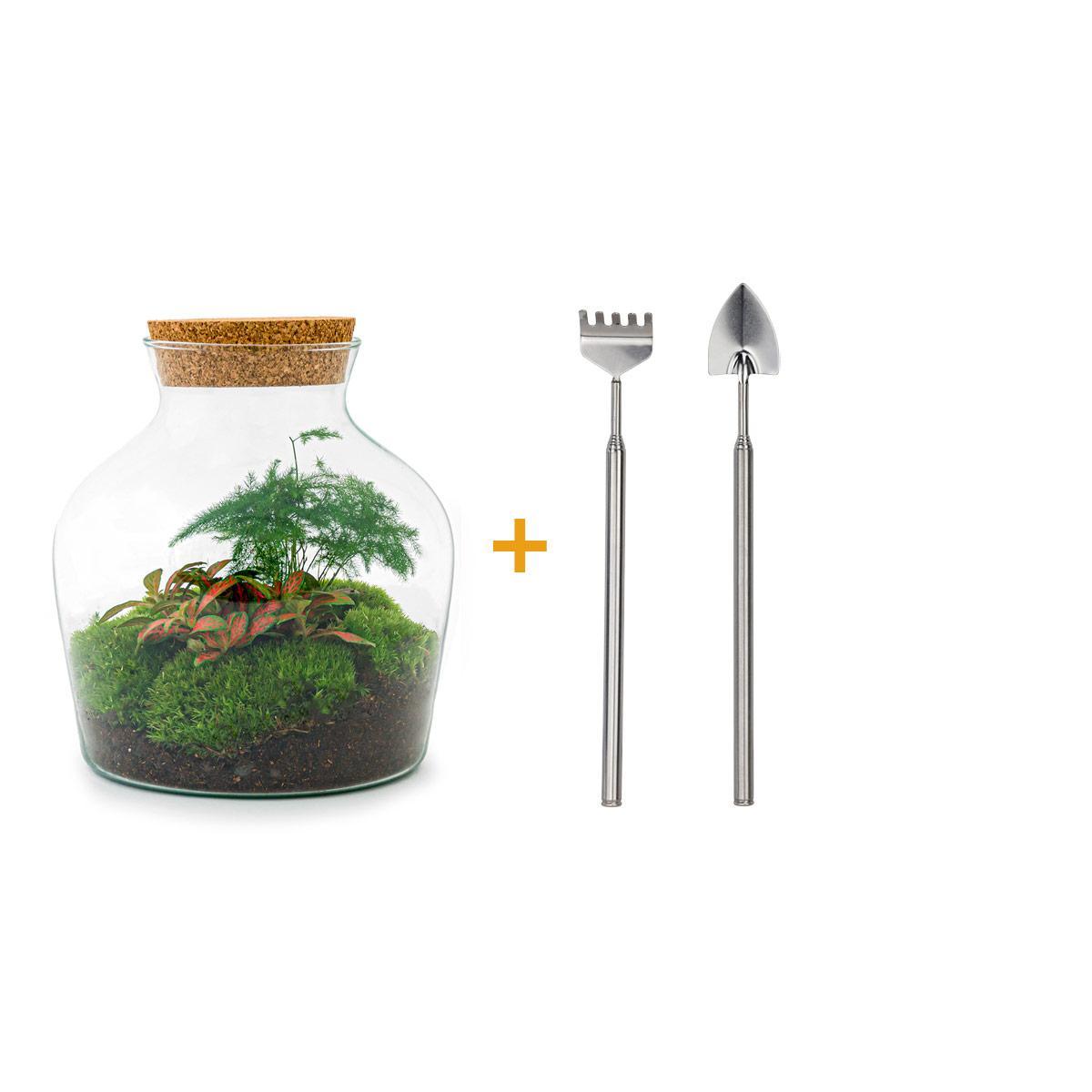 DIY terrarium - Little Joe - ↕ 21,5 cm