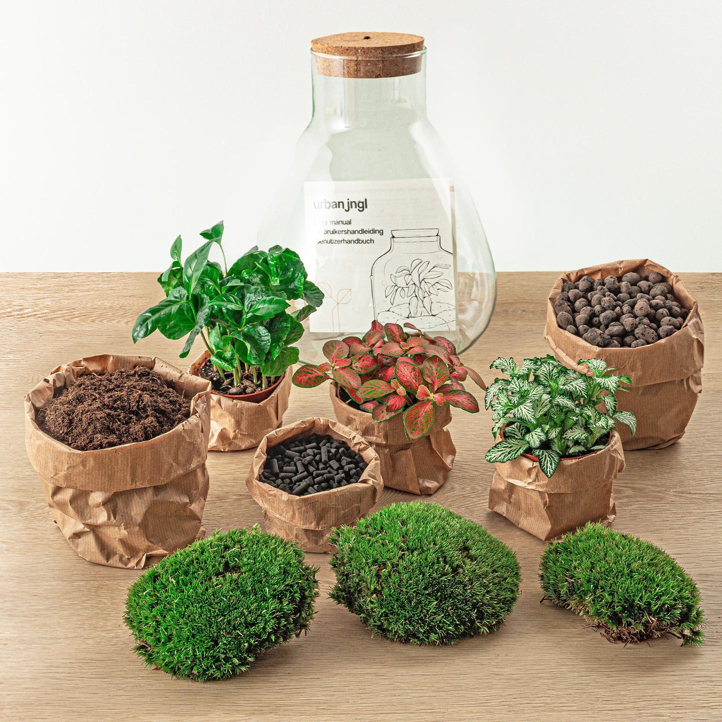 DIY terrarium - Sam Coffea - ↕ 30 cm - incl. LED