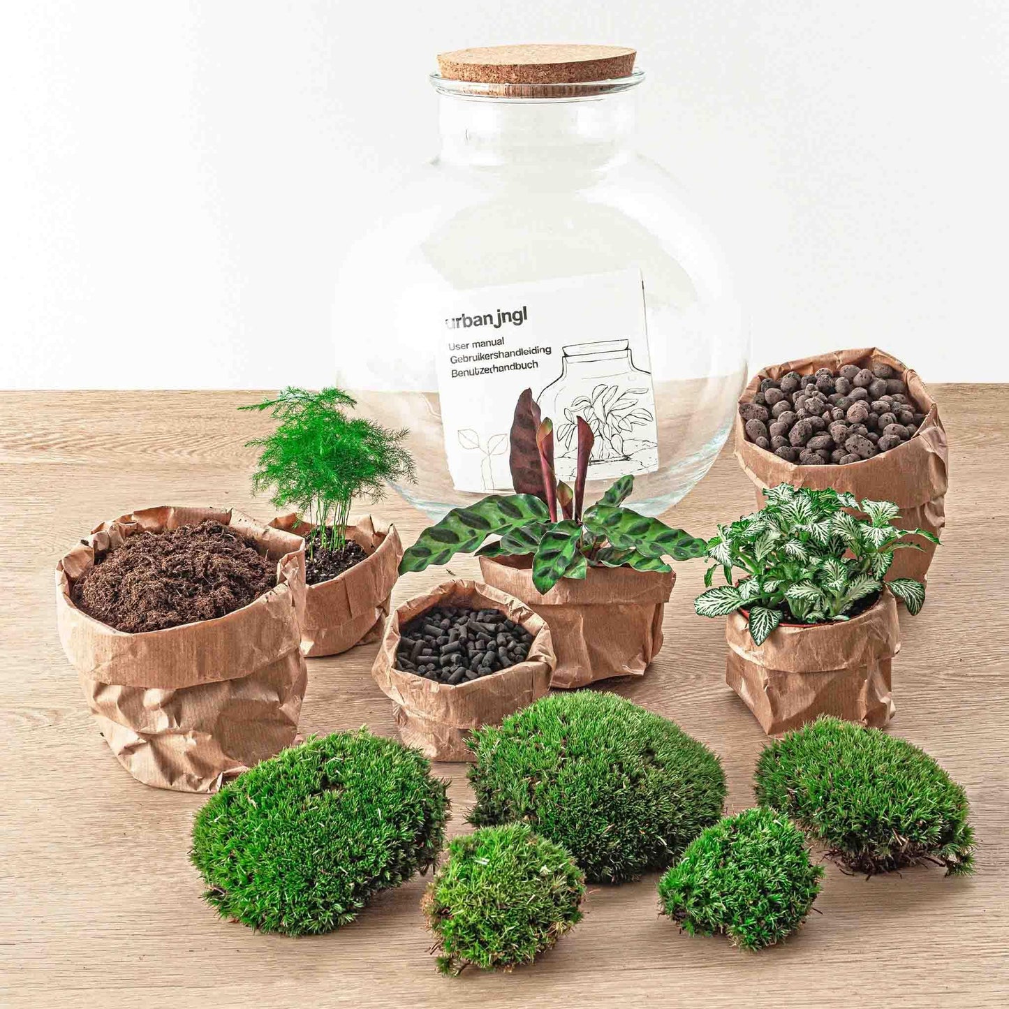 DIY terrarium - Bolder Bob Bonsai - ↕ 30 cm