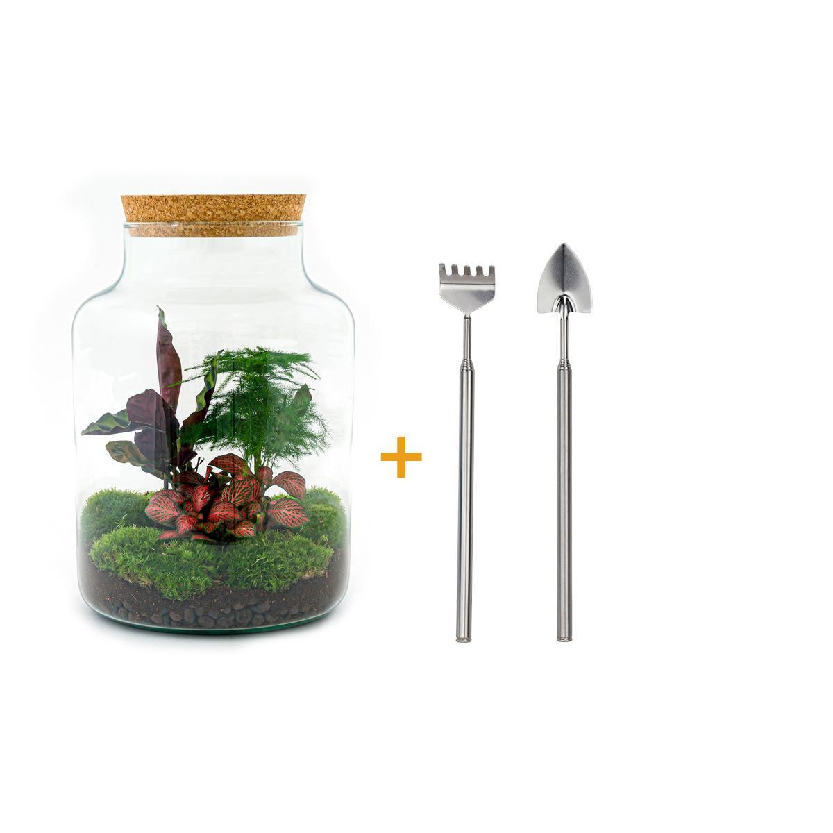 DIY terrarium - Milky - ↕ 30 cm