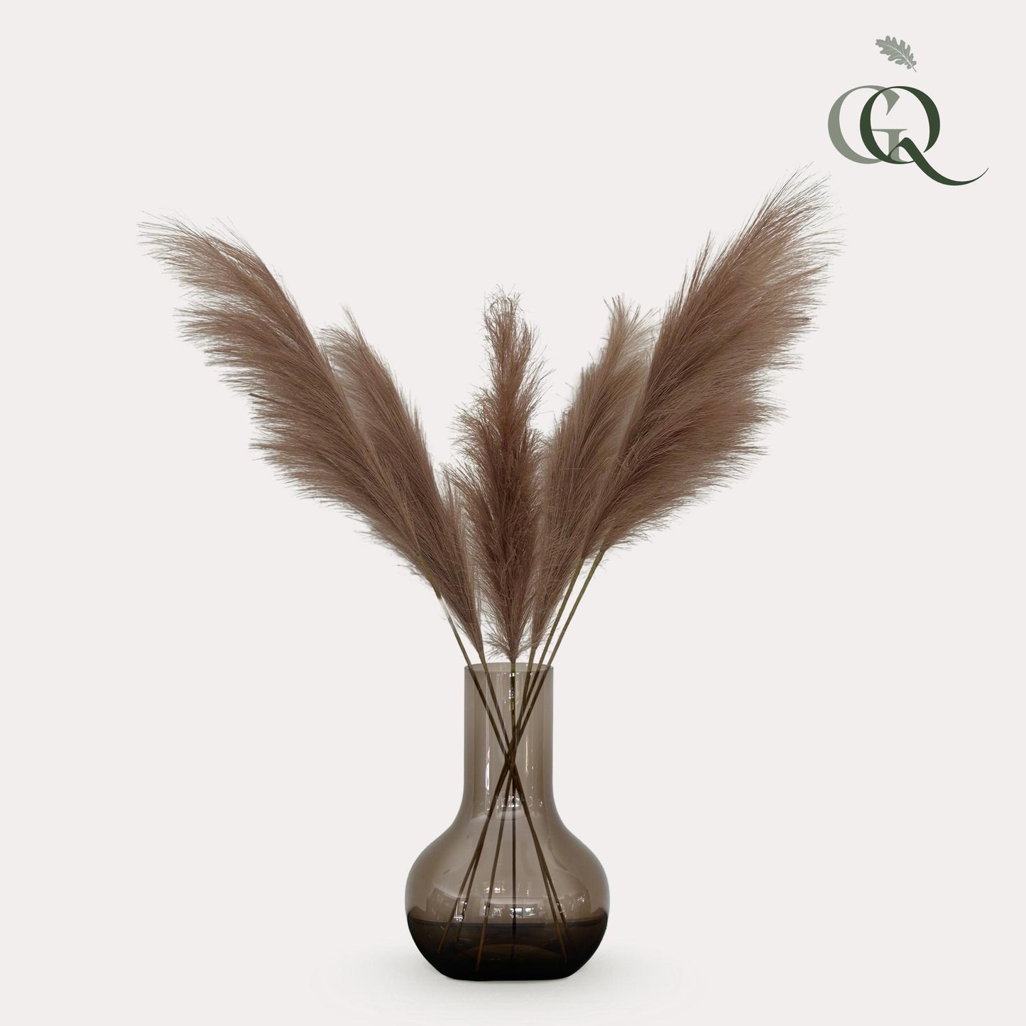 Kunstbloemen Pampas Plumes (Bruin)