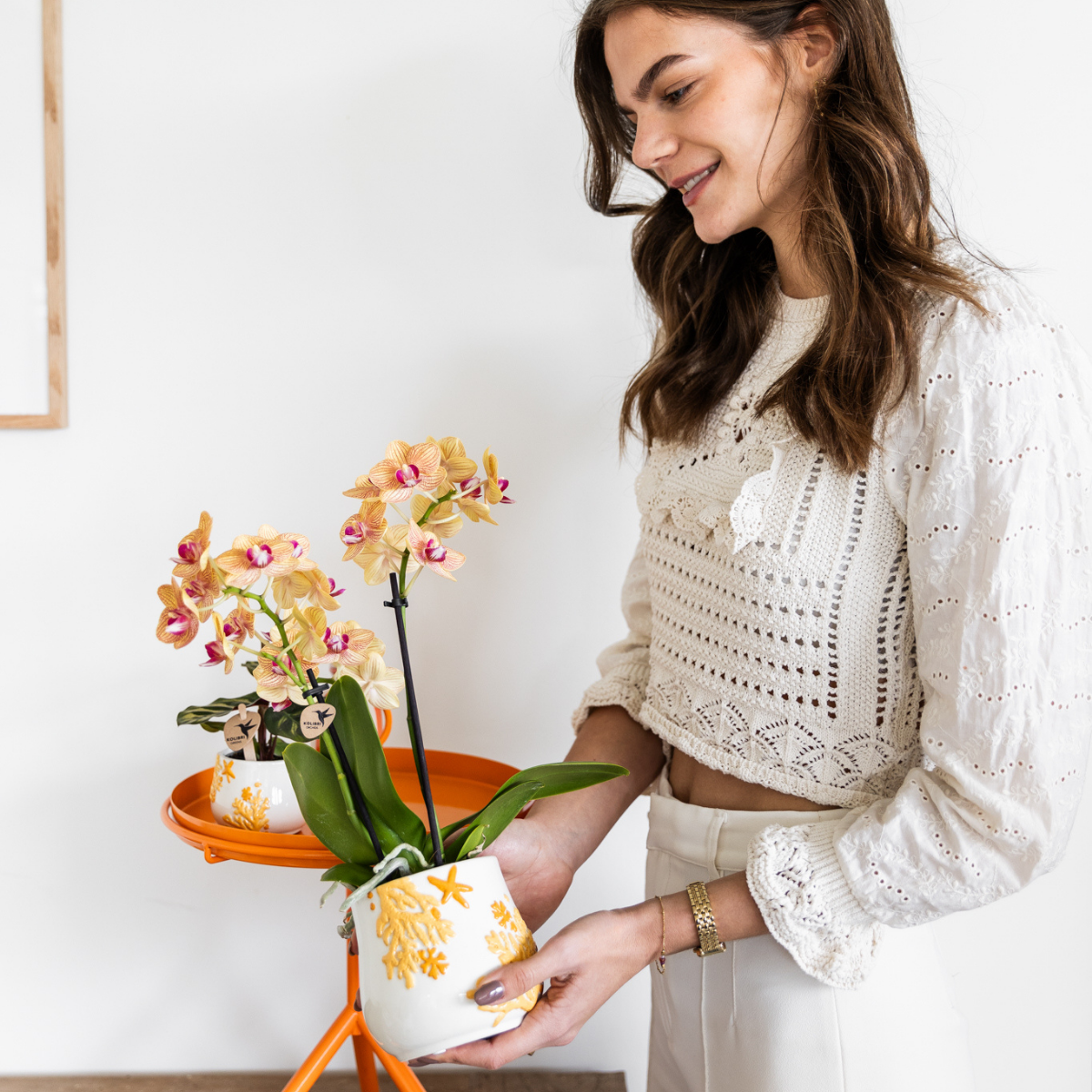 Kolibri Company - Planten set Coral Oranje | Set met oranje Phalaenopsis orchidee Jamaica Ø9cm en groene plant Calathea Ø6cm | incl. oranje keramieken sierpotten