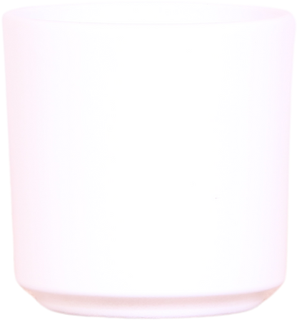 Planten cadeau - veel succes |  Orchidee met pot, kaart & cadeautas