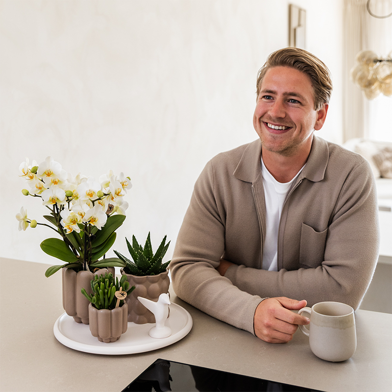 Gift Set Slow Living | Witte orchidee met groene planten in keramieken sierpotten