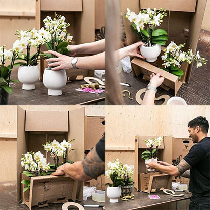 Orchidées colibri | Coffret cadeau Optimisme petite pêche | Plante verte avec orchidée Phalaenopsis orange dans des pots décoratifs couleur bonbon sur un plateau blanc en matière organique