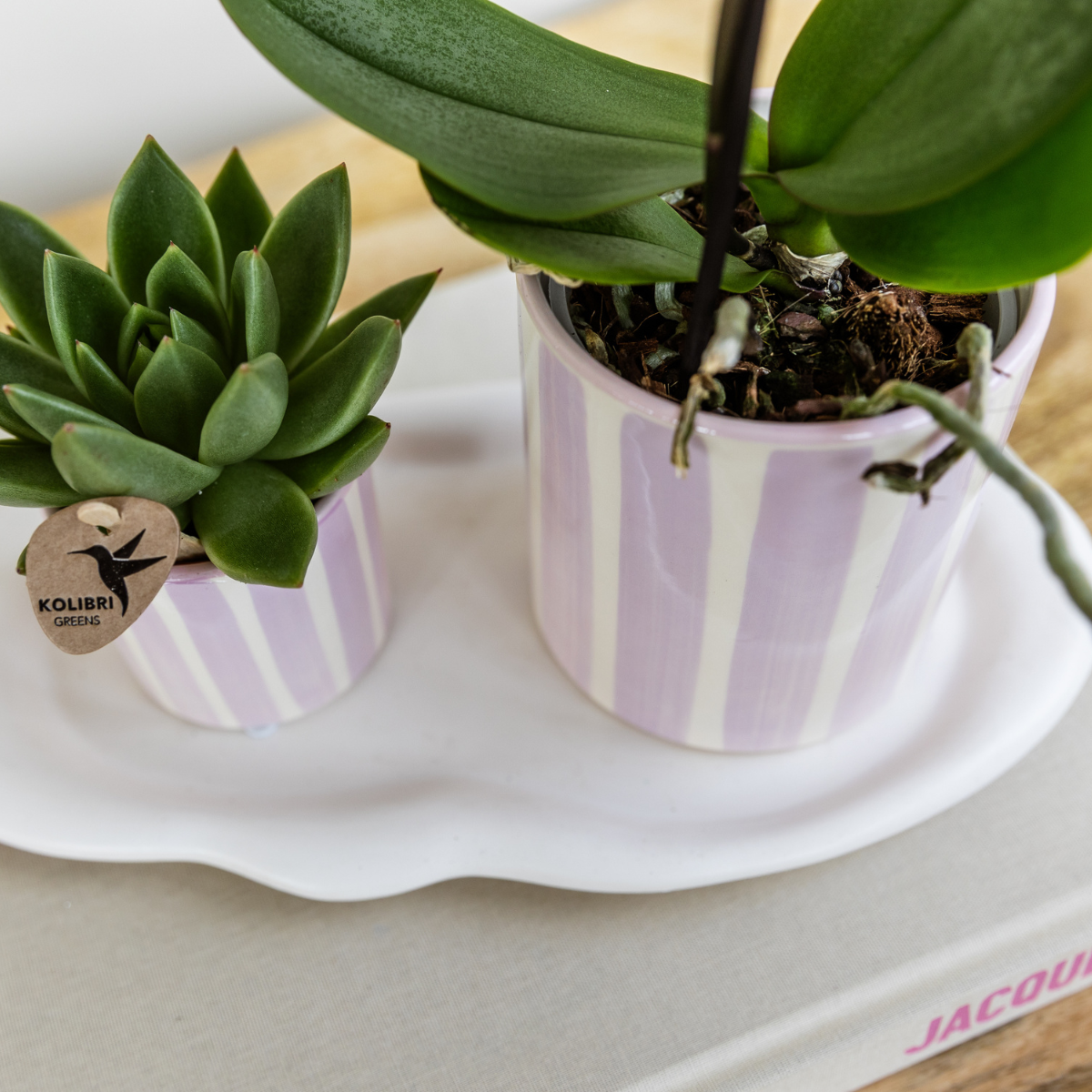 Orchidées Kolibri | Coffret cadeau « Méditerranée Sunset » petit format | Plante verte avec orchidée Phalaenopsis rose Andorre dans des pots décoratifs à rayures peintes sur un plateau blanc en matière organique