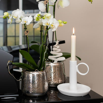 Witte Phalaenopsis orchidee – Amabilis + Luxury sierpot zilver – potmaat Ø9cm – 40cm hoog