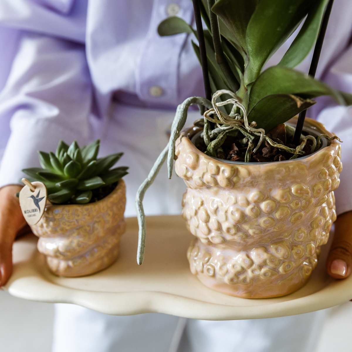 Kolibri Company | Gift set Octopus Pink small | Groene plant met oudroze Phalaenopsis orchidee in Octopus pink sierpotten op wit organisch dienblad