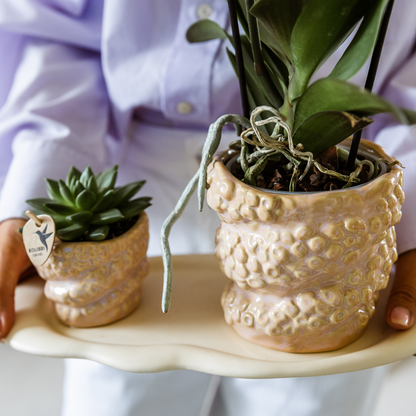 Kolibri Company | Gift set Octopus Pink small | Groene plant met oudroze Phalaenopsis orchidee in Octopus pink sierpotten op wit organisch dienblad