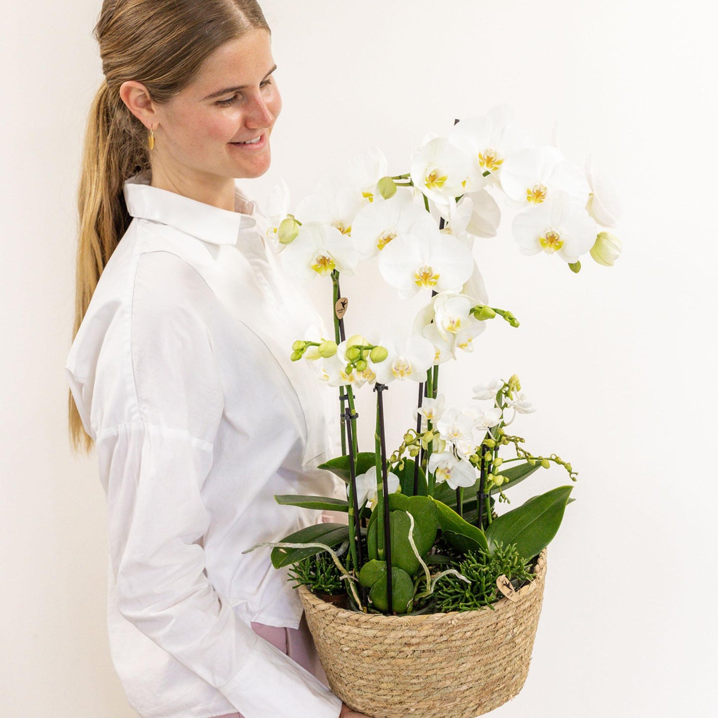 Kolibri Orchids | witte plantenset in Reed Basket incl. waterreservoir | drie witte orchideeën en drie groene planten | Field Bouquet wit met zelfvoorzienend waterreservoir
