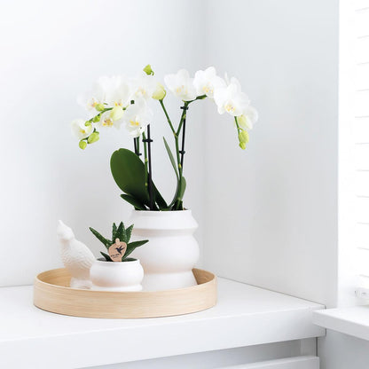 Hummingbird Home | Plateau décoratif - Plateau rond en bambou uni Ø30cm