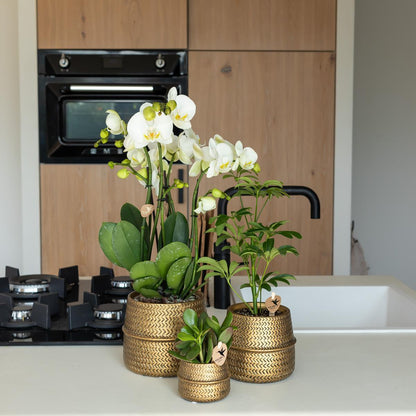 Groove bloempot - Gouden keramieken sierpot - potmaat - Ø9cm