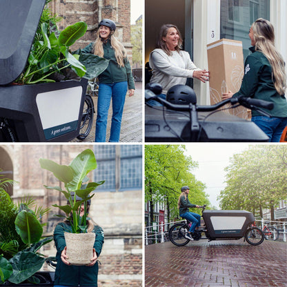 Olea - Ø19cm - ↕90cm