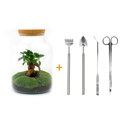 DIY terrarium - Milky met bonsai - ↕ 30 cm
