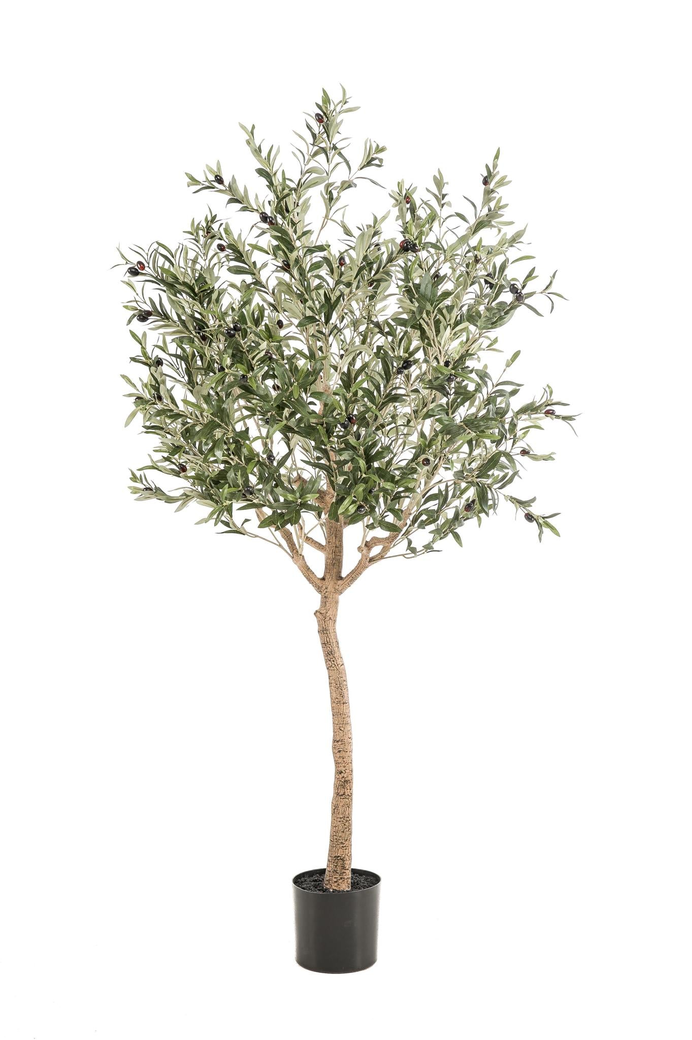 Kunst Olijfboom -  Olea europaea - Olijfboom - 180 cm