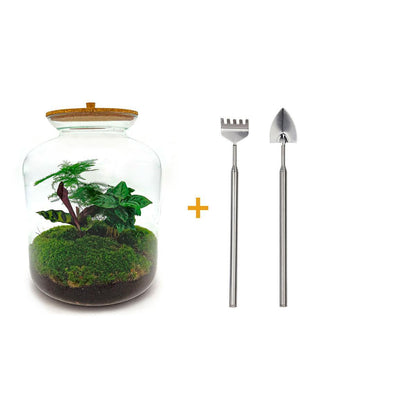 DIY terrarium - Lukas - ↕ 33 cm
