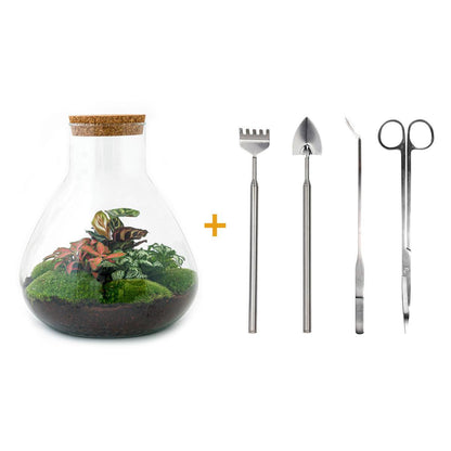 DIY terrarium - Sam XL Rood - ↕ 35 cm