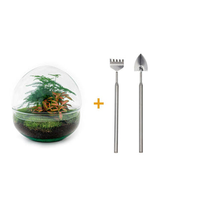 DIY terrarium - Dome Red - ↕ 20 cm