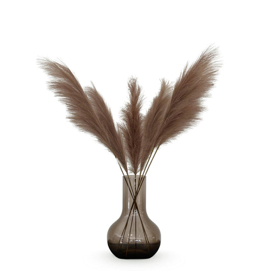 Kunstbloemen Pampas Plumes (Bruin)